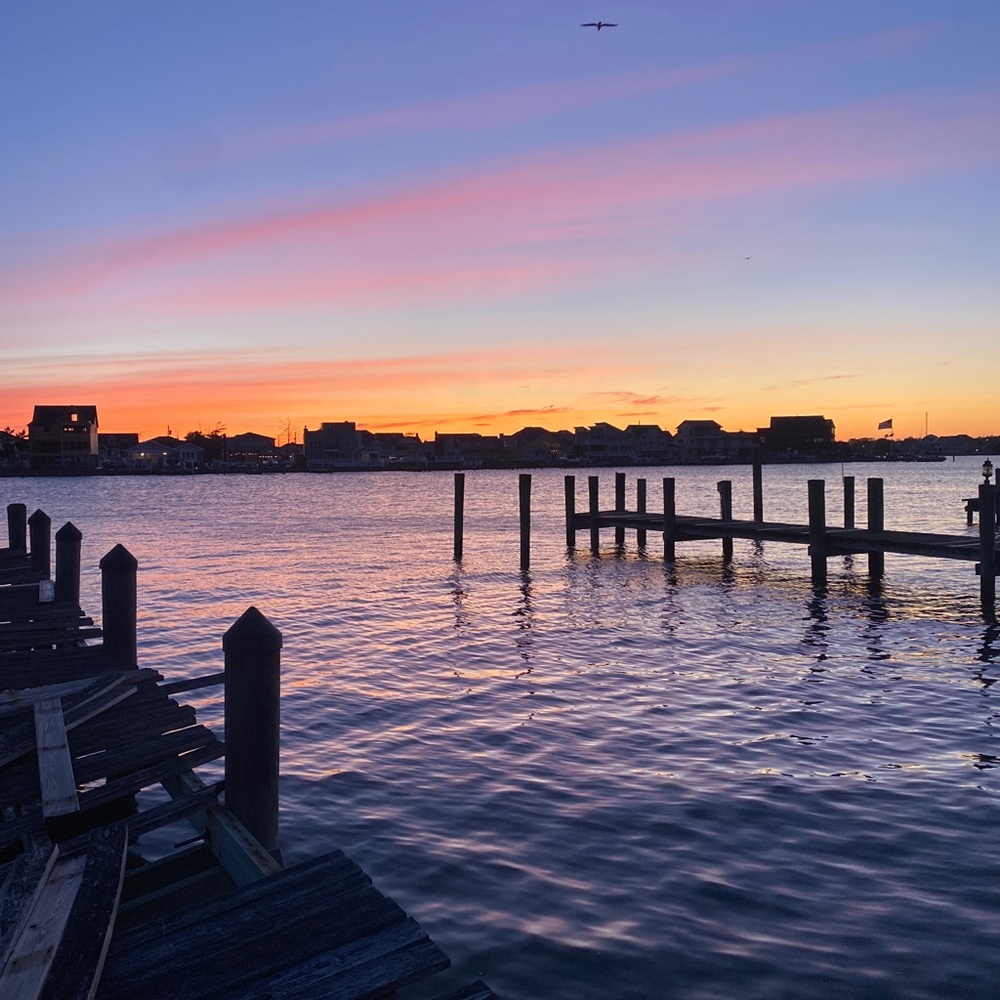 Meet your Posher, Ella